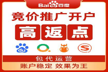 百度搜索引擎优化推广：成功案例揭秘